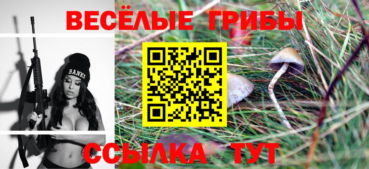 Галлюциногенные грибы мицелий Астрахань